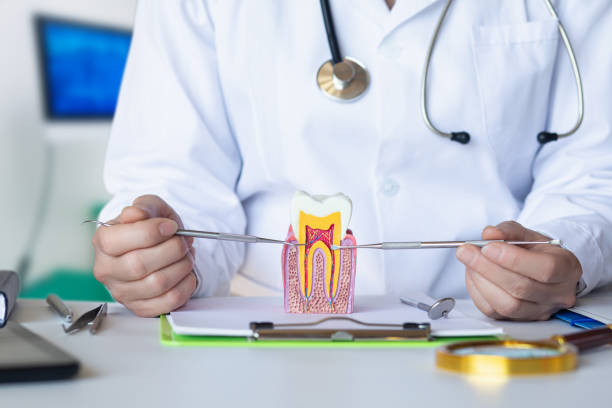 Best Emergency Treatment for Toothache in Holt, AL